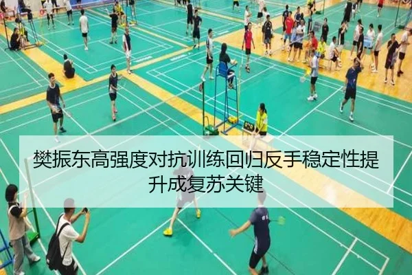 樊振东高强度对抗训练回归反手稳定性提升成复苏关键 | leyu